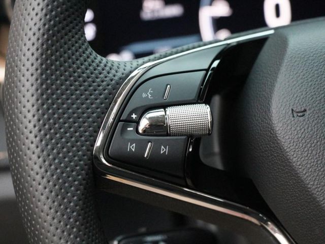 Skoda Fabia  第15張相片