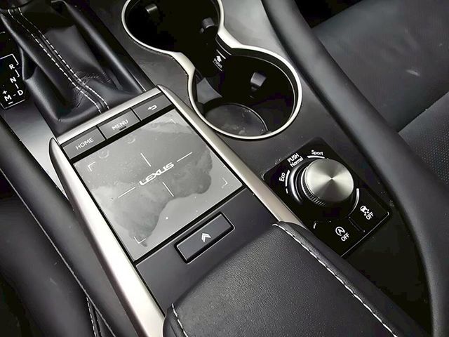 LEXUS凌志 RX300  第18張相片