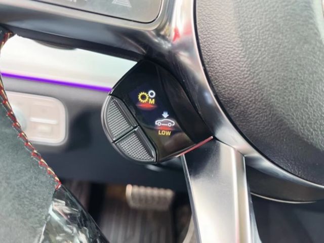 M-BENZ賓士 GLE53 AMG  第10張相片