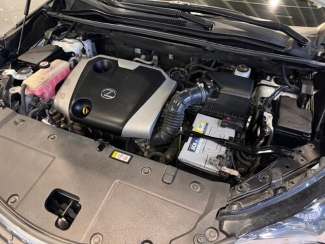 LEXUS凌志 NX200  第6張相片
