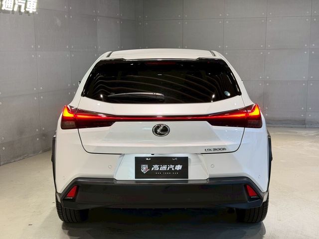 LEXUS凌志 UX300H  第4張相片