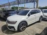 VOLKSWAGEN福斯 TIGUAN  第1張縮圖
