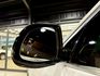 BMW/ 寶馬 X4 SERIES  第11張縮圖