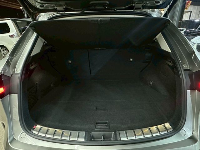 Lexus NX  第12張相片