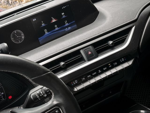 LEXUS凌志 UX200  第8張相片