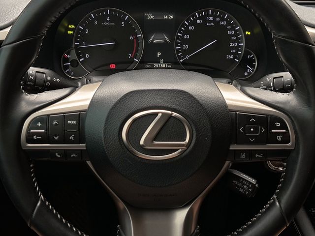 LEXUS凌志 RX300  第10張相片