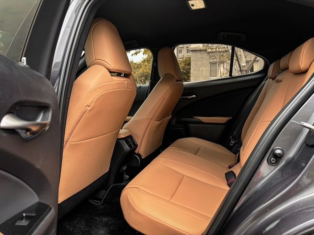 LEXUS凌志 UX300H  第12張相片
