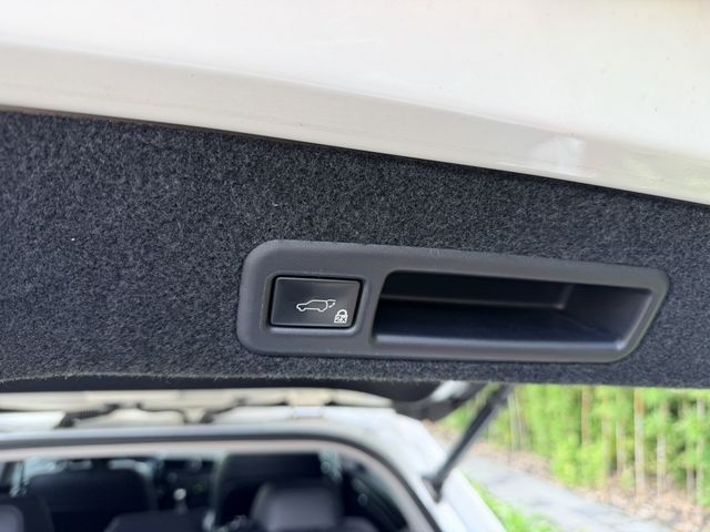 LEXUS凌志 RX300  第5張相片