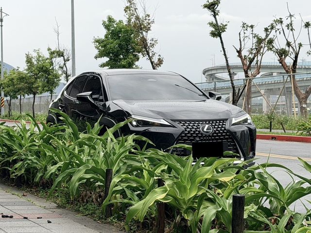 LEXUS凌志 UX300H  第2張相片