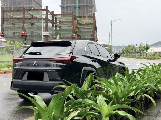 LEXUS凌志 UX300H  第3張相片