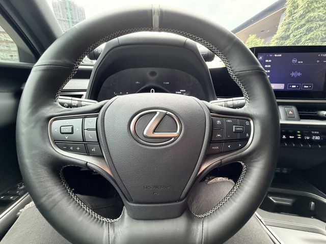 LEXUS凌志 UX300H  第11張相片