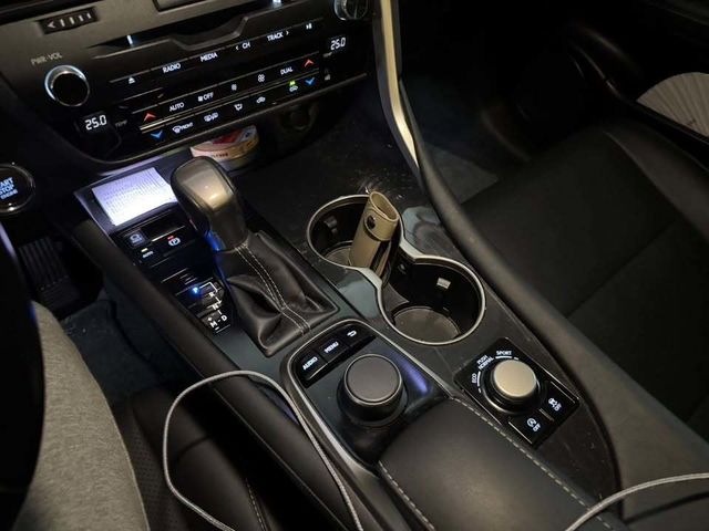 LEXUS凌志 RX300  第8張相片