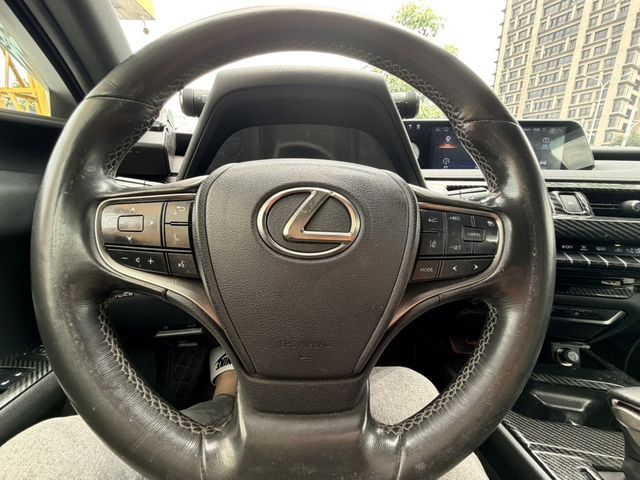 LEXUS凌志 UX250H  第12張相片