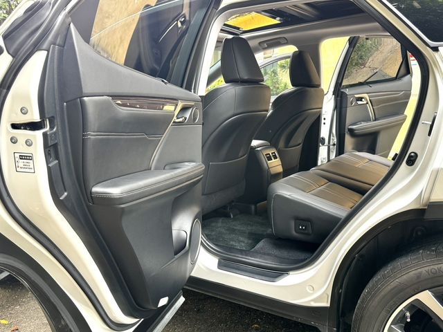 LEXUS凌志 RX300  第6張相片