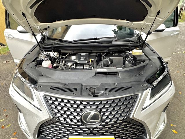 LEXUS凌志 RX300  第10張相片