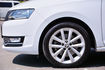 SKODA司科達 RAPID SPACEBAK  第5張縮圖