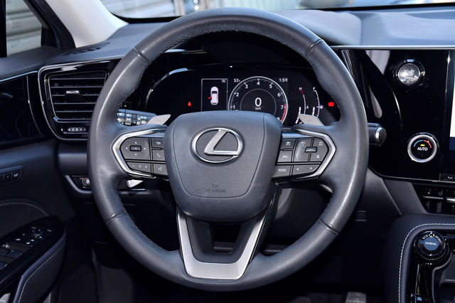 LEXUS凌志 NX250  第13張相片