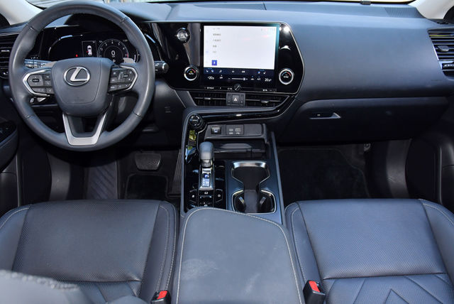 LEXUS凌志 NX250  第14張相片