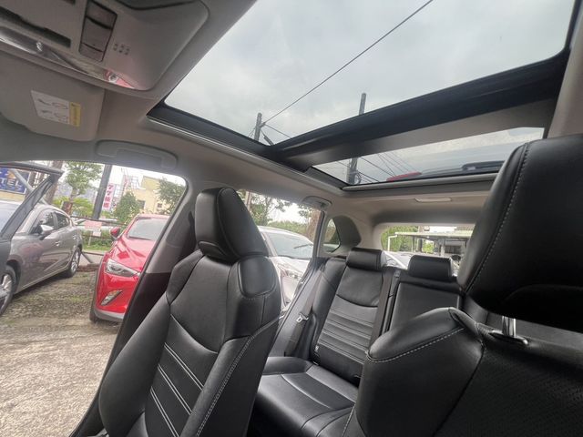 TOYOTA豐田 RAV4  第18張相片