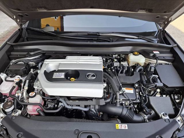 LEXUS凌志 UX250H  第11張相片