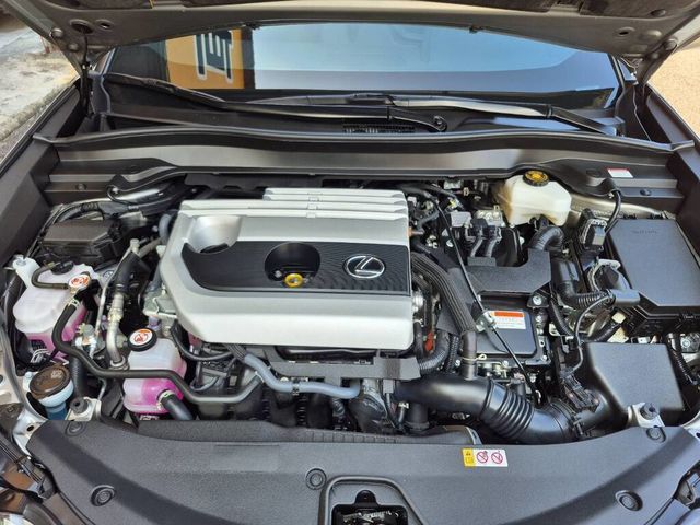 LEXUS凌志 UX250H  第6張相片