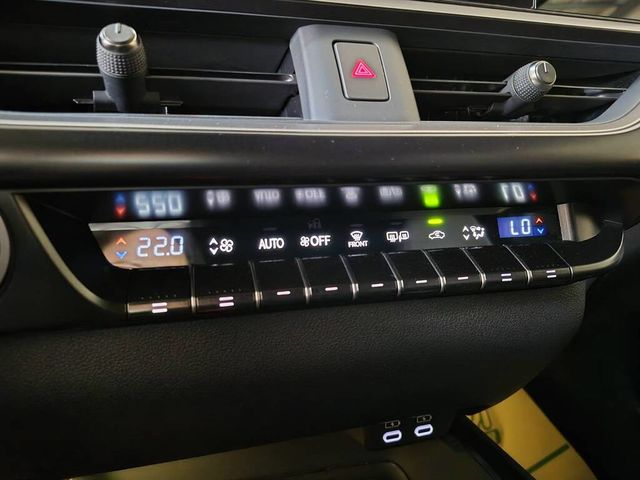 LEXUS凌志 UX250H  第15張相片