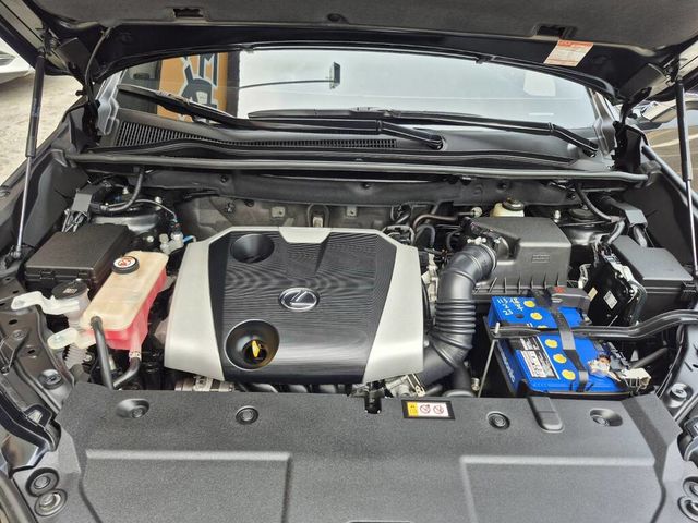 LEXUS凌志 NX200  第6張相片