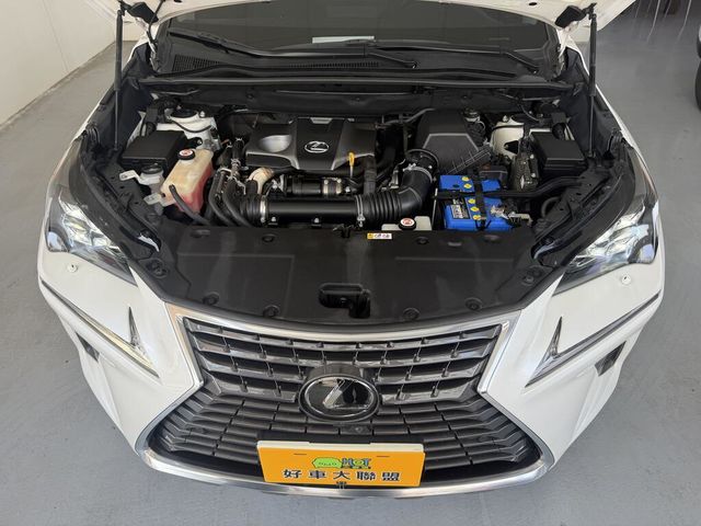 LEXUS凌志 NX300  第6張相片