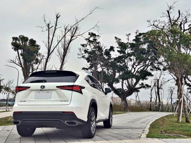 Lexus NX  第8張相片