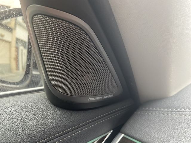 BMW寶馬 730LD  第5張相片