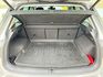 VOLKSWAGEN福斯 TIGUAN  第14張縮圖