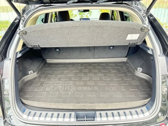 LEXUS凌志 NX200  第14張相片