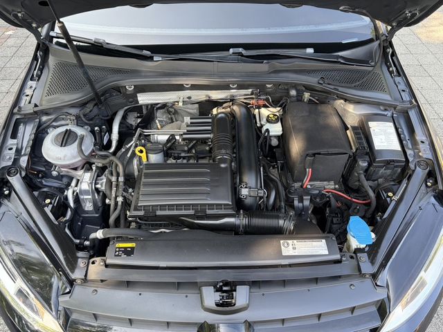 VOLKSWAGEN福斯 GOLF  第10張相片