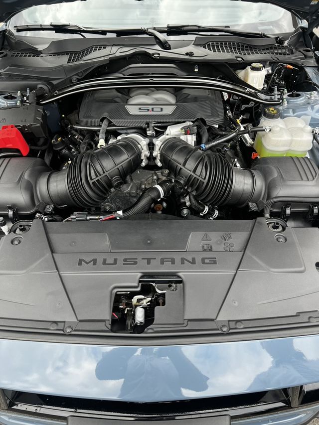 FORD福特 MUSTANG  第11張相片