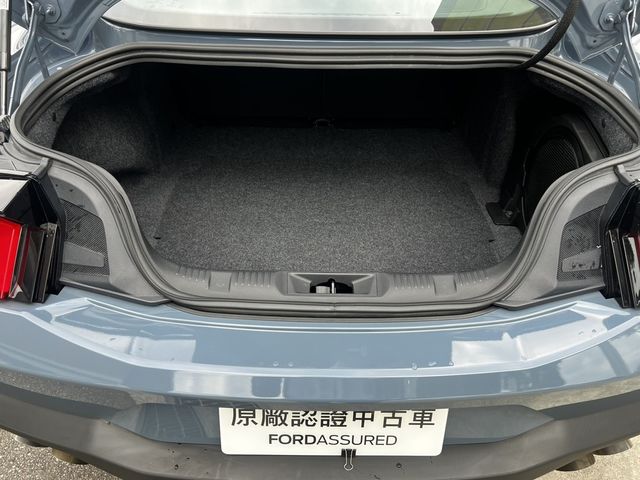 FORD福特 MUSTANG  第12張相片