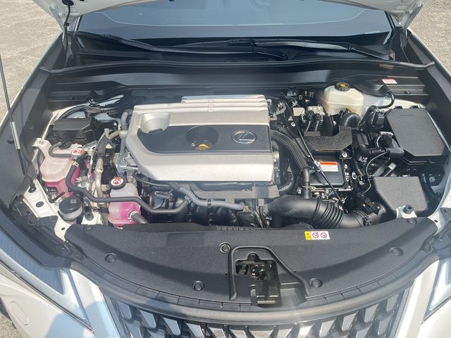 LEXUS凌志 UX250H  第6張相片