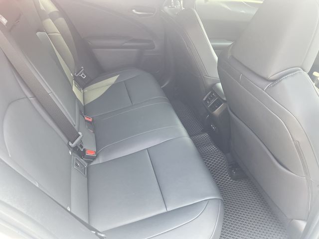 LEXUS凌志 UX250H  第11張相片