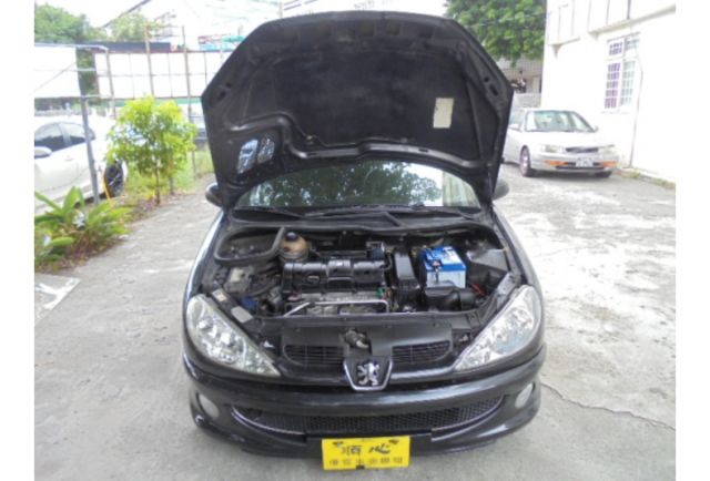 Peugeot 206  第9張相片
