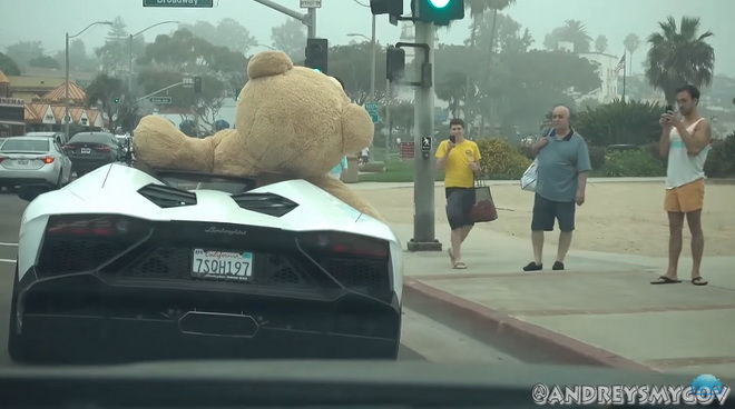 Teddy布偶熊坐大牛逛大街