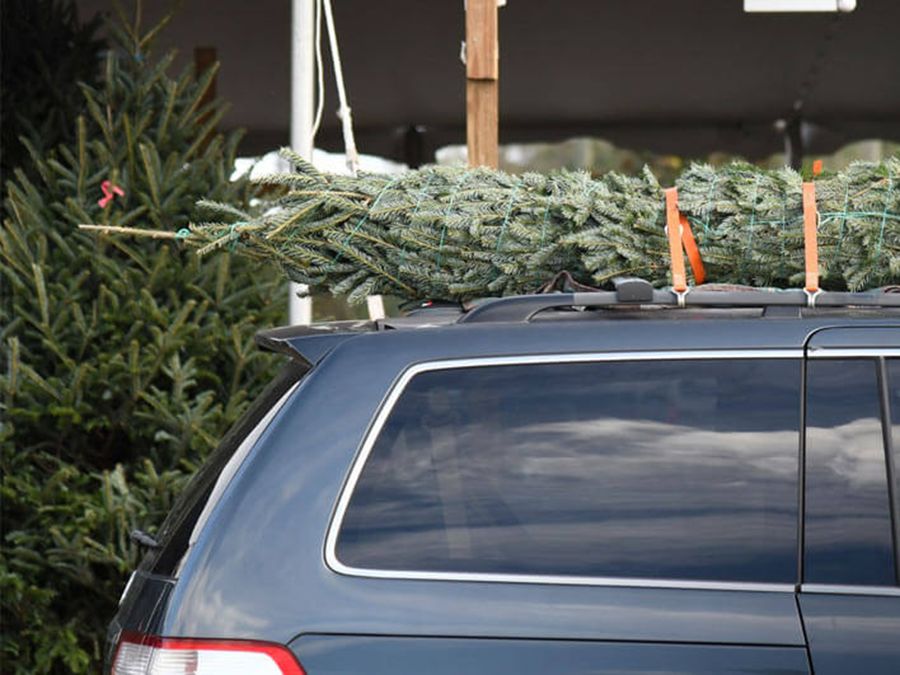 聖誕樹竟是公路兇器！別再亂綁就上路！