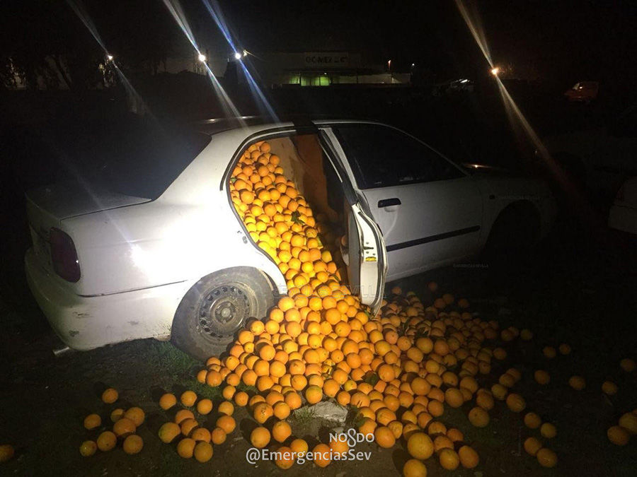 載著上千顆柳橙還想跑！很缺維他命C嗎？
