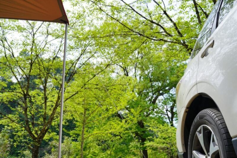 【車中泊】露營時將車停於樹蔭下的人看過來! 除了海邊的鹽害外，山上的「樹汁」也是汽車的天敵