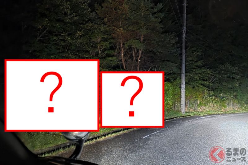 【恐龍】黑夜「山路」上讓人「三度確認」!?  震撼光景」引爆SNS話題！ 路邊出現的那隻「生物」竟是……