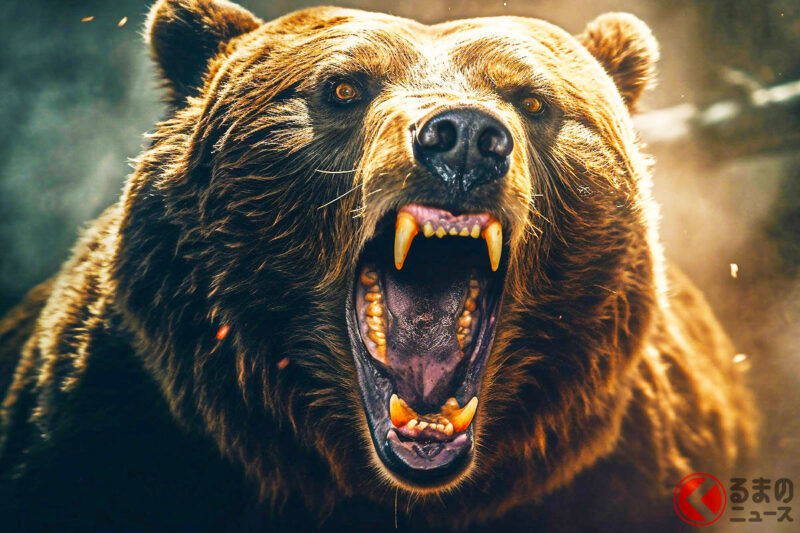 「熊……！」如果在開車時「遇到」該怎麼辦？「待在車內」真的安全嗎？「倒車逃跑不行」是真的嗎？遇到熊時的「正確應對方法」是什麼！￼￼￼