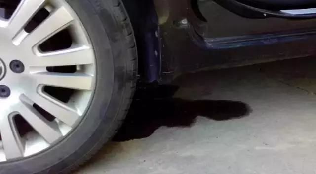 愛車Q&A：發現汽車漏油該怎麼做？